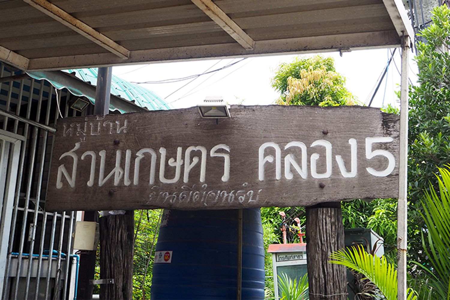 ภาพหลัก -  บ้านสวนเกษตรคลอง 5